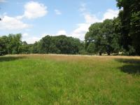 Artenreiche Magerwiese im Glienicker Park © A. von Lührte