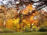 Herbststimmung. © B. Seitz