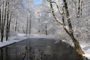 Winterstimmung am Teich im Schlosspark Buch. © N. A. Klöhn