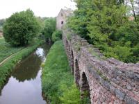 Bewachsene Mauer im Schlosspark Schwetzingen © N. A. Klöhn Bewachsene Mauer im Schlosspark Schwetzingen © N. A. Klöhn