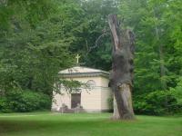 Malerische Baumruine im Schlosspark Ludwigslust © I. Kowarik