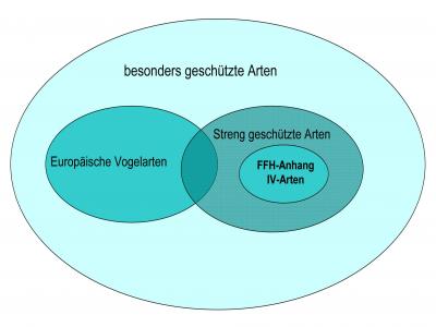 Artenschutzkategorien nach nationalem und europäischem Recht . Nach: Ministerium für Umwelt und Naturschutz, Landwirtschaft und Verbraucherschutz des Landes Nordrhein-Westfalen 2007: Geschützte Arten in Nordrhein-Westfalen. http://www.umwelt.nrw.de/naturschutz/pdf/artenschutz/ verändert