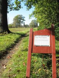 Vorrübergehende Wegesperrung an astbruchgefährdeter Alteiche im Park Wiesenburg. © A. von Lührte