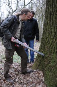 Untersuchung der Stammbasis einer Eiche mit einem Bohrwiderstandsmessgerät © N. A. Klöhn Untersuchung der Stammbasis einer Eiche mit einem Bohrwiderstandsmessgerät © N. A. Klöhn