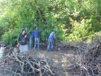 Bau einer Benjeshecke im Kreuzberger Viktoriapark durch die NABU-Bezirksgruppe Friedrichshain-Kreuzberg © M. Rümmler