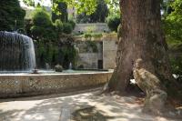 Biotopholz - auch im Park der Villa D'este nahe Rom. © N. A. Klöhn Biotopholz - auch im Park der Villa D'este nahe Rom. © N. A. Klöhn