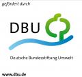 Deutsche Bundesstiftung Umwelt Deutsche Bundesstiftung Umwelt