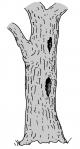 Zeichnung W. Roloff Zeichnung W. Roloff