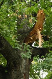 Starkastausbruch nach Verlust einer überlastigen Teilkrone © N. A. Klöhn