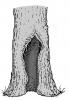 Offene Großhöhle Stammbasis. Zeichnung W. Roloff Offene Großhöhle Stammbasis. Zeichnung W. Roloff