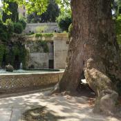 Biotopholz - auch im Park der Villa D'este nahe Rom. &copy; N. A. Kl&ouml;hn