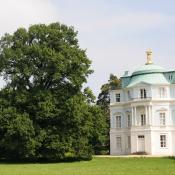 Alteichen am Bellvedere im Schlossgarten Charlottenburg. &copy; N. A. Kl&ouml;hn