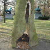 Hier f&auml;llt bereits bei der Sichtkontrolle die offene H&ouml;hle auf.  &copy; N. A. Kl&ouml;hn