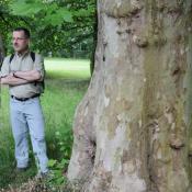 Wie versteckt die Art lebt zeigt der im Sommer 2009 beim Langen Tag der Stadtnatur entdeckte erste lebende Eremit im Schlossgarten Charlottenburg. © N. A. Klöhn