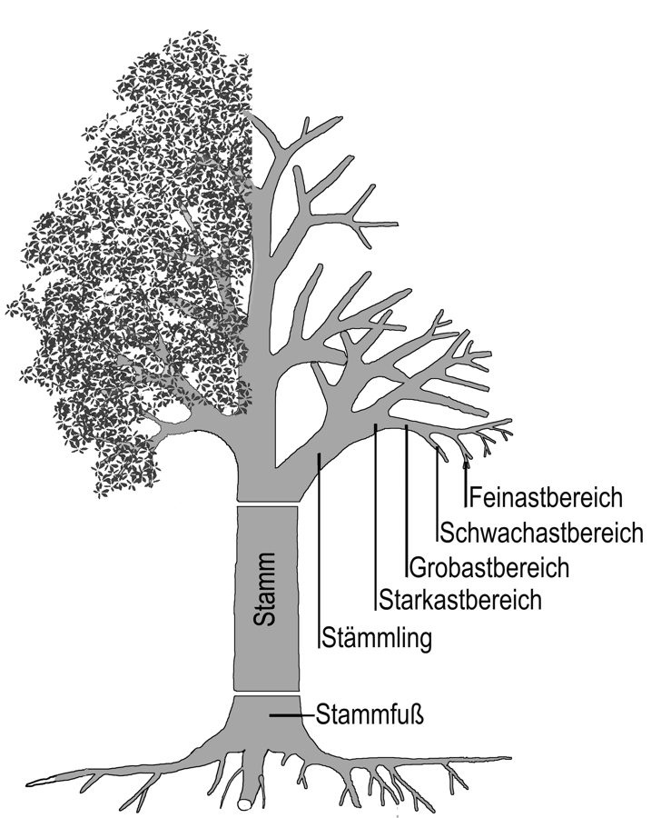 Naturschutz und Denkmalpflege