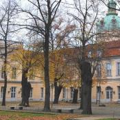 Gleich vier zu verschiedenen Zeitpunkten gekappte Linden blieben als Ersatzkronenbaum erhalten. Sie sind gleichsam Biotop und originaler Teil der historischen Bepflanzung. &copy; N. A. Kl&ouml;hn