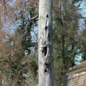 Typische Etagenh&ouml;hle &copy; N. A. Kl&ouml;hn