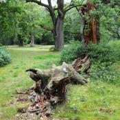 &copy; N. A. Kl&ouml;hn