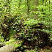 &copy; N. A. Kl&ouml;hn