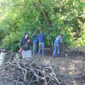 Bau einer Benjeshecke im Kreuzberger Viktoriapark durch die NABU-Bezirksgruppe Friedrichshain-Kreuzberg. © M. Rümmler