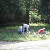 Pflegeeinsatz des Bucher B&uuml;rgervereins im Schlosspark Buch. &copy; B. Seitz