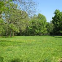 Artenreiche Feuchtwiese &copy; A. von L&uuml;hrte