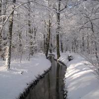 Panke im Winter &copy; A. von L&uuml;hrte