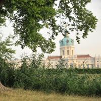 Blick über den Karpfenteich zum Schloss. © N. A. Klöhn