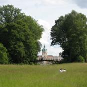 Schlossgarten Charlottenburg: Wiesenblick auf das Schloss © A. von Lührte