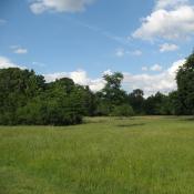 Wiesenmeer im Schlossgarten Charlottenburg © A. von Lührte