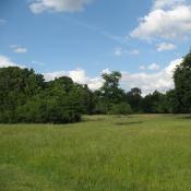 Wiesenmeer im Schlossgarten Charlottenburg &copy; A. von L&uuml;hrte