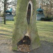 Offene H&ouml;hle &copy; N. A. Kl&ouml;hn