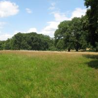 Blick &uuml;ber die gro&szlig;e Schlosswiese. &copy; A. von L&uuml;hrte