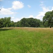 Artenreiche Magerwiese im Glienicker Park © A. von Lührte