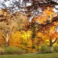 Herbststimmung. &copy; B. Seitz