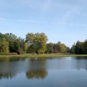 Flusslandschaft der Elbe im W&ouml;rlitzer Park &copy; A. von L&uuml;hrte