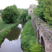 Bewachsene Mauer im Schlosspark Schwetzingen © N. A. Klöhn