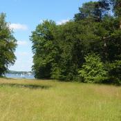 Die Kunkelwiese auf der Berliner Pfaueninsel: eine typische Magerwiese mit randlichen Silbergrasfluren &copy;  A. Rockinger