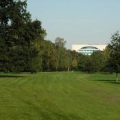 Scherrasen im Großen Tiergarten © N. A. Klöhn