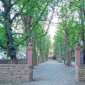 Eingang zum Durlacher Schlosspark mit der Kastanienallee. &copy; Beate. Creative commons license. 