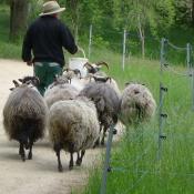 Mobile "Rasenm&auml;her". &copy; J. Uhlig