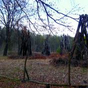 Totholzlagerplatz in der Dresdner Heide © J. Lorenz