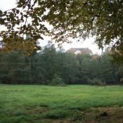 Zustand der Wiese im Herbst 2013. &copy; B. P&auml;tzig