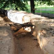 Schlitzung des alten Deiches: Wurzeln alter Bäume wurden vorsichtig freigelegt und während der Bauarbeiten ständig feucht gehalten. © N. A. Klöhn