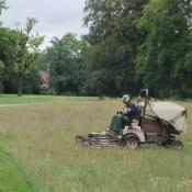 Gewinnung von artenreichem Magerrasen-Saatgut im Saugmulchverfahren im Neuen Garten, Potsdam &copy; C. Gr&auml;tz