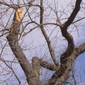Frisch erzeugte nat&uuml;rlich wirkende Bruchkante &copy; J. Uhlig