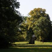 Artenreiche Magerrasen am Jakobsbrunnen © N. A. Klöhn