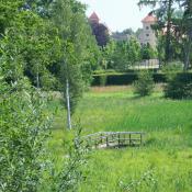 Blick über die Englische Partie zum Schloss Rheinsberg. © SPSG, M. Hopp