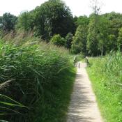 Schilfbest&auml;nde wurden durch mehrmalige Mahd zur&uuml;ckgedr&auml;ngt. &copy; SPSG, M. Hopp