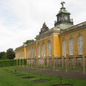 Neupflanzung von Kirschbäumen im Park Sanssouci © H. Muschick